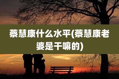 蔡慧康什么水平(蔡慧康老婆是干嘛的)