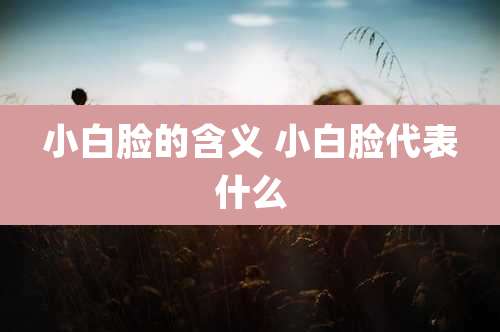 小白脸的含义 小白脸代表什么