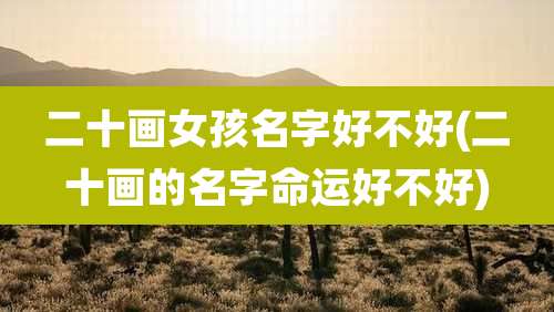 二十画女孩名字好不好(二十画的名字命运好不好)
