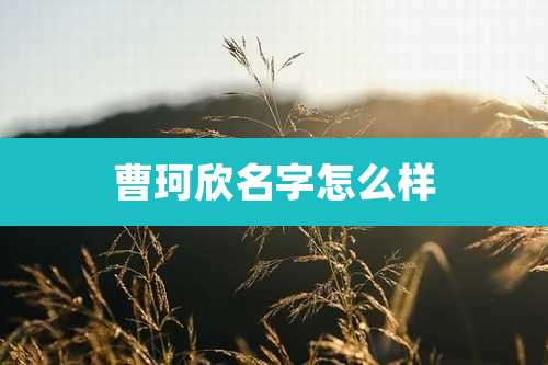 曹珂欣名字怎么样