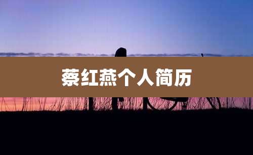 蔡红燕个人简历