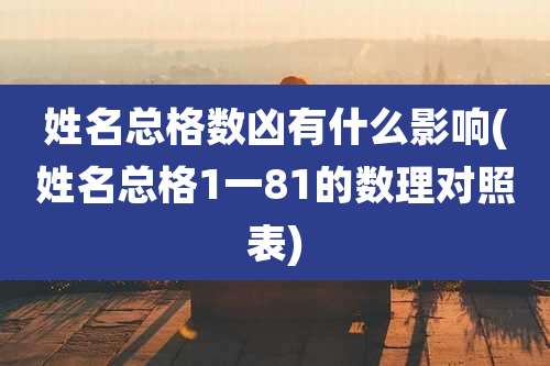 姓名总格数凶有什么影响(姓名总格1一81的数理对照表)