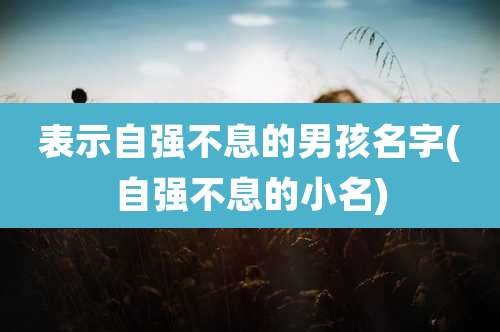 表示自强不息的男孩名字(自强不息的小名)