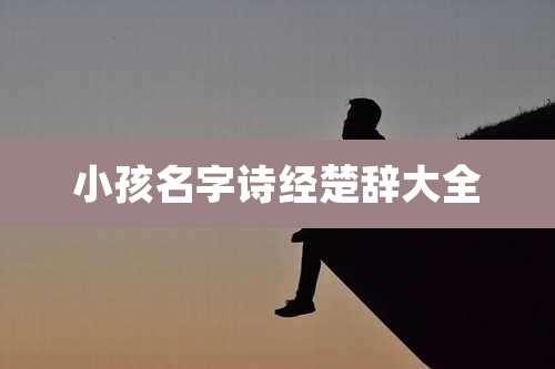 小孩名字诗经楚辞大全