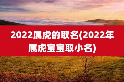 2022属虎的取名(2022年属虎宝宝取小名)