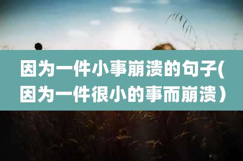 因为一件小事崩溃的句子(因为一件很小的事而崩溃)