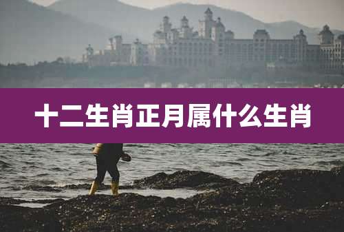 十二生肖正月属什么生肖