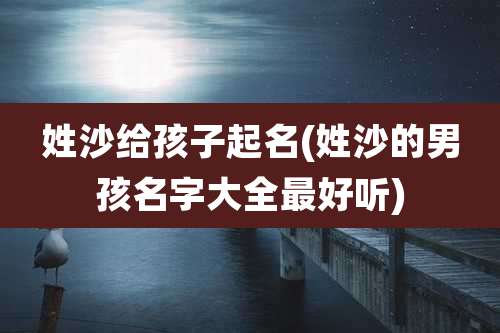 姓沙给孩子起名(姓沙的男孩名字大全最好听)