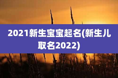 2021新生宝宝起名(新生儿取名2022)
