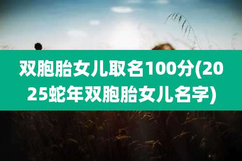 双胞胎女儿取名100分(2025蛇年双胞胎女儿名字)