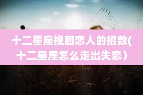 十二星座挽回恋人的招数(十二星座怎么走出失恋）
