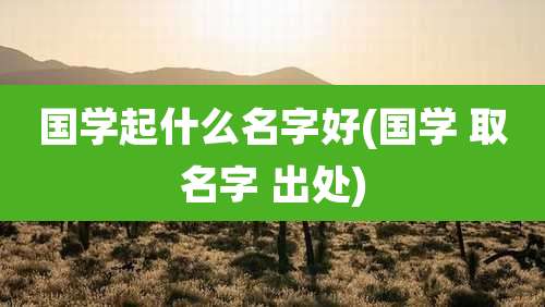 国学起什么名字好(国学 取名字 出处)