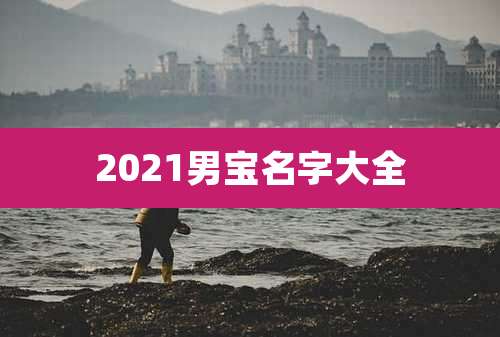 2021男宝名字大全