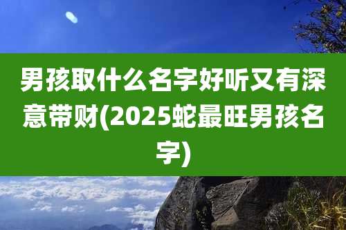 男孩取什么名字好听又有深意带财(2025蛇最旺男孩名字)