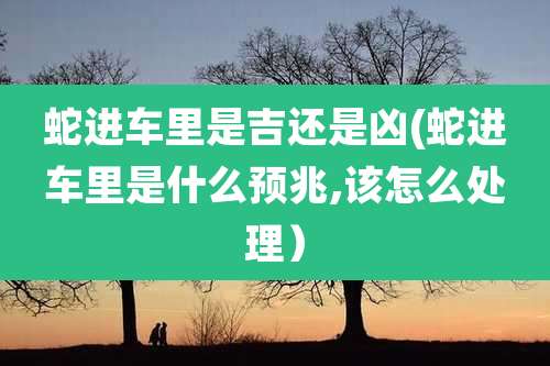 蛇进车里是吉还是凶(蛇进车里是什么预兆,该怎么处理)