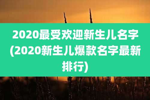 2020最受欢迎新生儿名字(2020新生儿爆款名字最新排行)