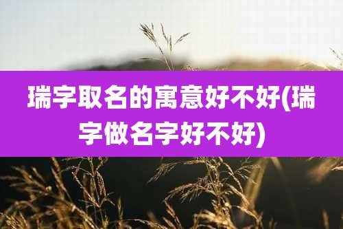 瑞字取名的寓意好不好(瑞字做名字好不好)