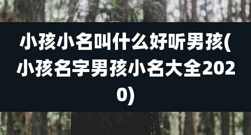 小孩小名叫什么好听男孩(小孩名字男孩小名大全2020)