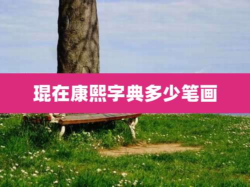 琨在康熙字典多少笔画