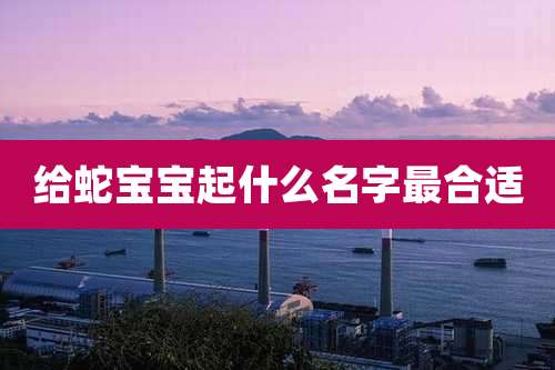 给蛇宝宝起什么名字最合适