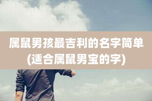 属鼠男孩最吉利的名字简单(适合属鼠男宝的字)