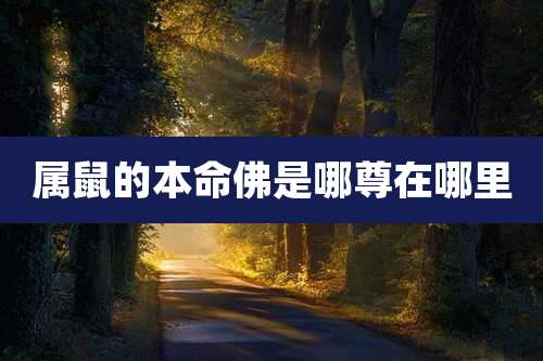 属鼠的本命佛是哪尊在哪里