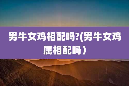 男牛女鸡相配吗?(男牛女鸡属相配吗)