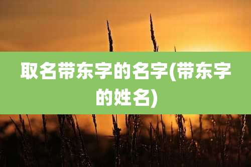 取名带东字的名字(带东字的姓名)