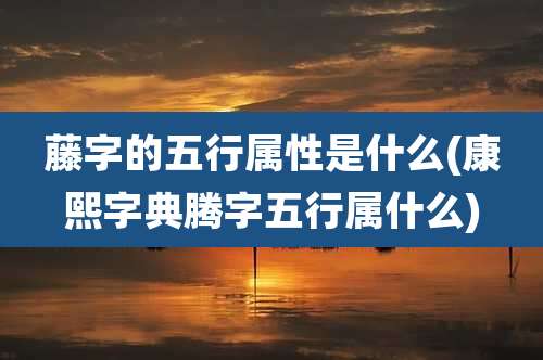 藤字的五行属性是什么(康熙字典腾字五行属什么)