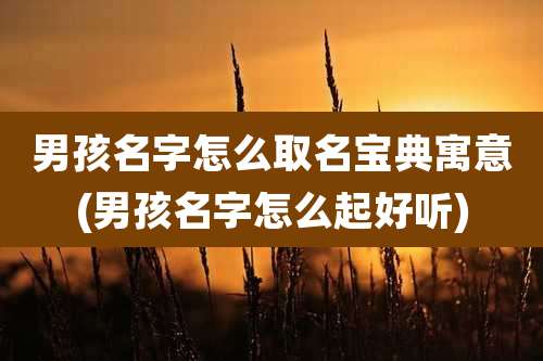 男孩名字怎么取名宝典寓意(男孩名字怎么起好听)