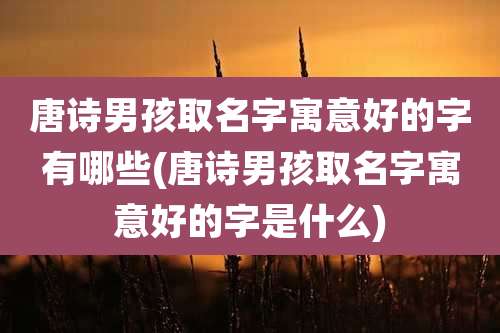 唐诗男孩取名字寓意好的字有哪些(唐诗男孩取名字寓意好的字是什么)