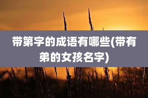 带第字的成语有哪些(带有弟的女孩名字)