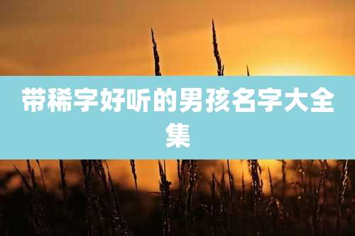 带稀字好听的男孩名字大全集