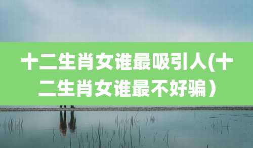 十二生肖女谁最吸引人(十二生肖女谁最不好骗)