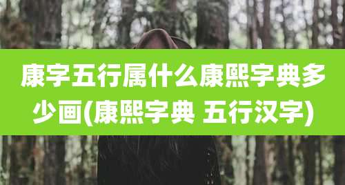 康字五行属什么康熙字典多少画(康熙字典 五行汉字)
