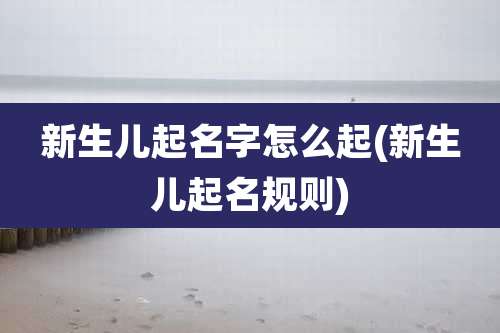 新生儿起名字怎么起(新生儿起名规则)