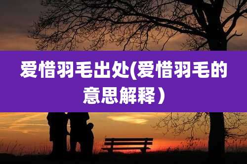 爱惜羽毛出处(爱惜羽毛的意思解释)