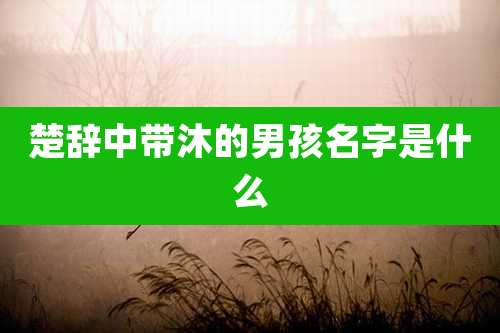 楚辞中带沐的男孩名字是什么