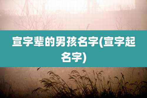 宣字辈的男孩名字(宣字起名字)