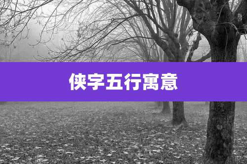 侠字五行寓意