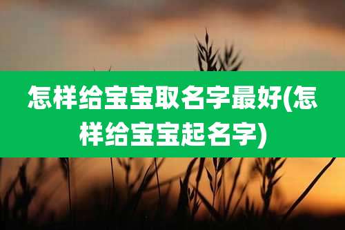 怎样给宝宝取名字最好(怎样给宝宝起名字)