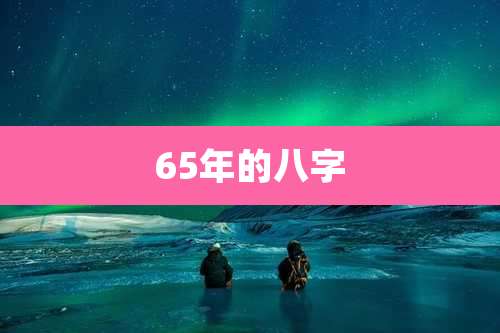 65年的八字