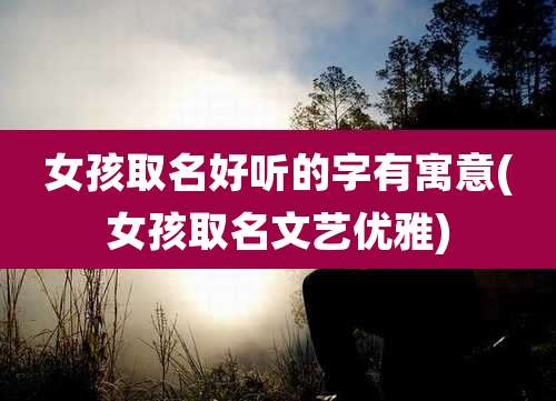 女孩取名好听的字有寓意(女孩取名文艺优雅)