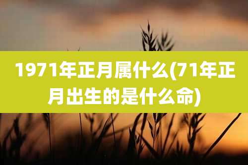 1971年正月属什么(71年正月出生的是什么命)