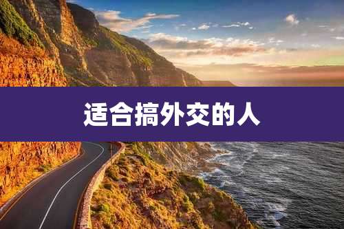 适合搞外交的人