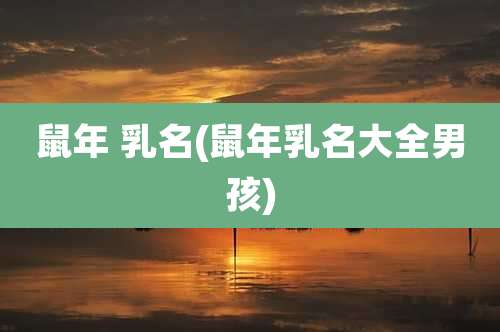 鼠年 乳名(鼠年乳名大全男孩)