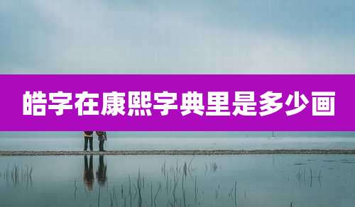 皓字在康熙字典里是多少画