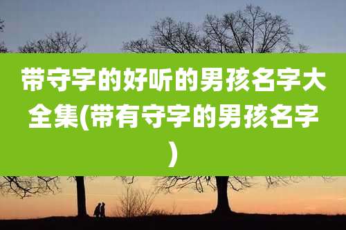 带守字的好听的男孩名字大全集(带有守字的男孩名字)