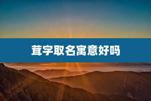 茸字取名寓意好吗