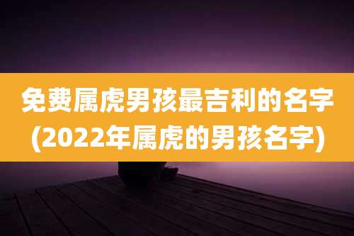 免费属虎男孩最吉利的名字(2022年属虎的男孩名字)